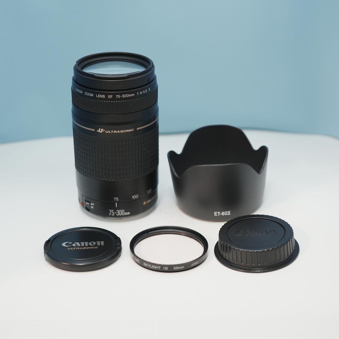 Canon純正 75-300mm 望遠レンズ 美品 a4548