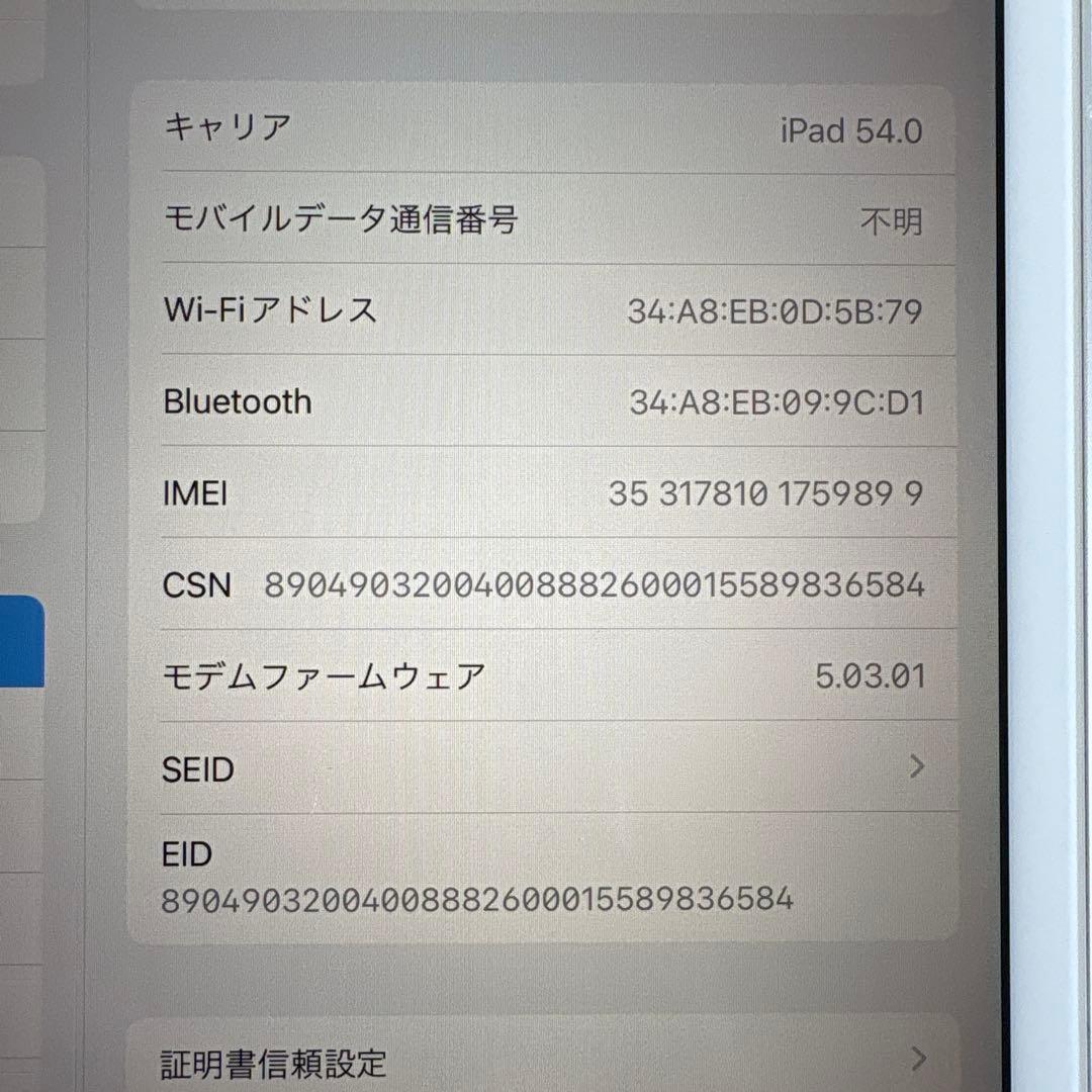 iPad mini5 セルラー 64GB SIMフリー(59)