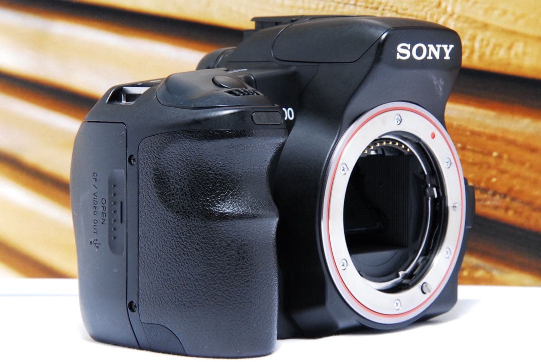 初心者向け SONY α200 レンズセット ソニー デジタル一眼レフ カメラ
