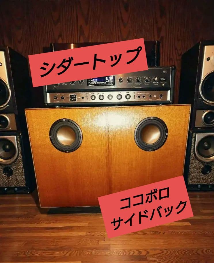 アコギ ギター ミニ アンプ　スピーカー シダー ココボロ　ハカランダ