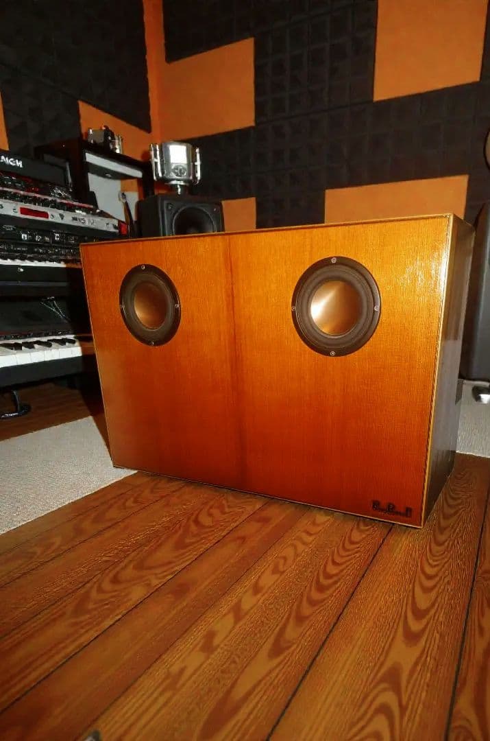 アコギ ギター ミニ アンプ　スピーカー シダー ココボロ　ハカランダ