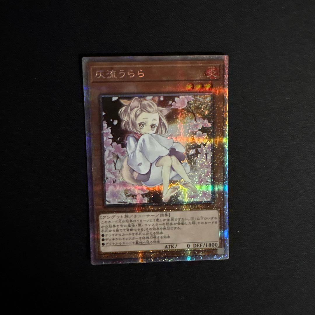 遊戯王　灰流うらら　絵違い　25thシークレットレア1枚 ①