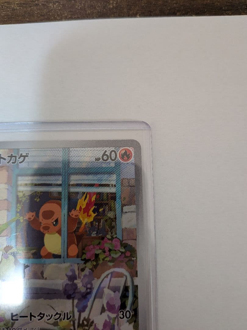 スペシャルデッキセットex ヒトカゲ