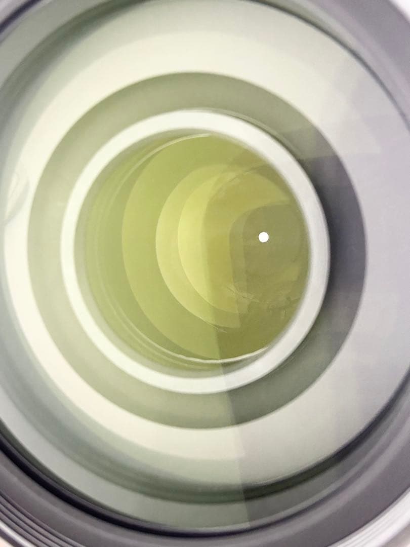 レンズ(ズーム) Nikon NIKKOR 55-300mm f/4.5-5.6G ED VR