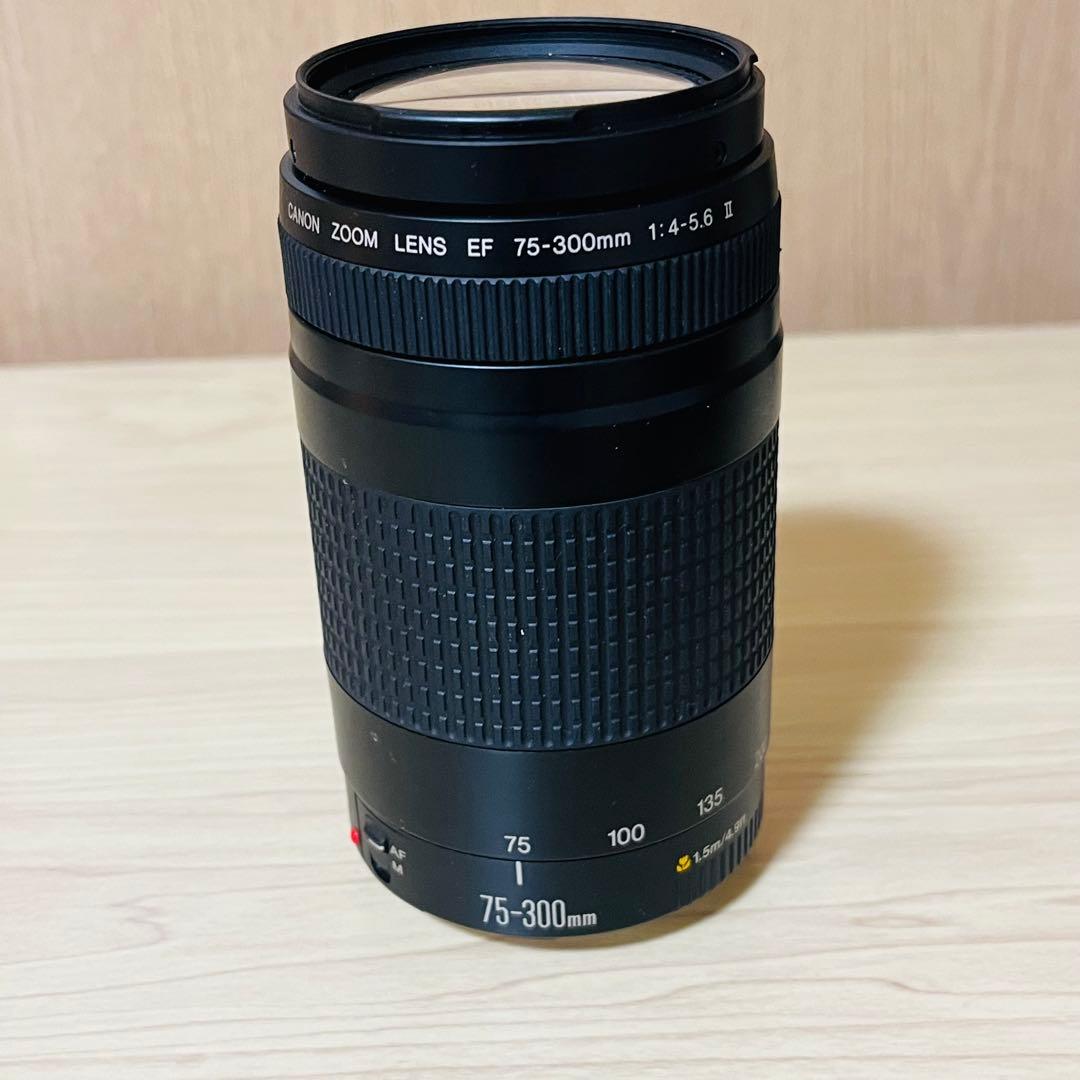 Canon EF 75-300mm f/4-5.6 ズームレンズ ②