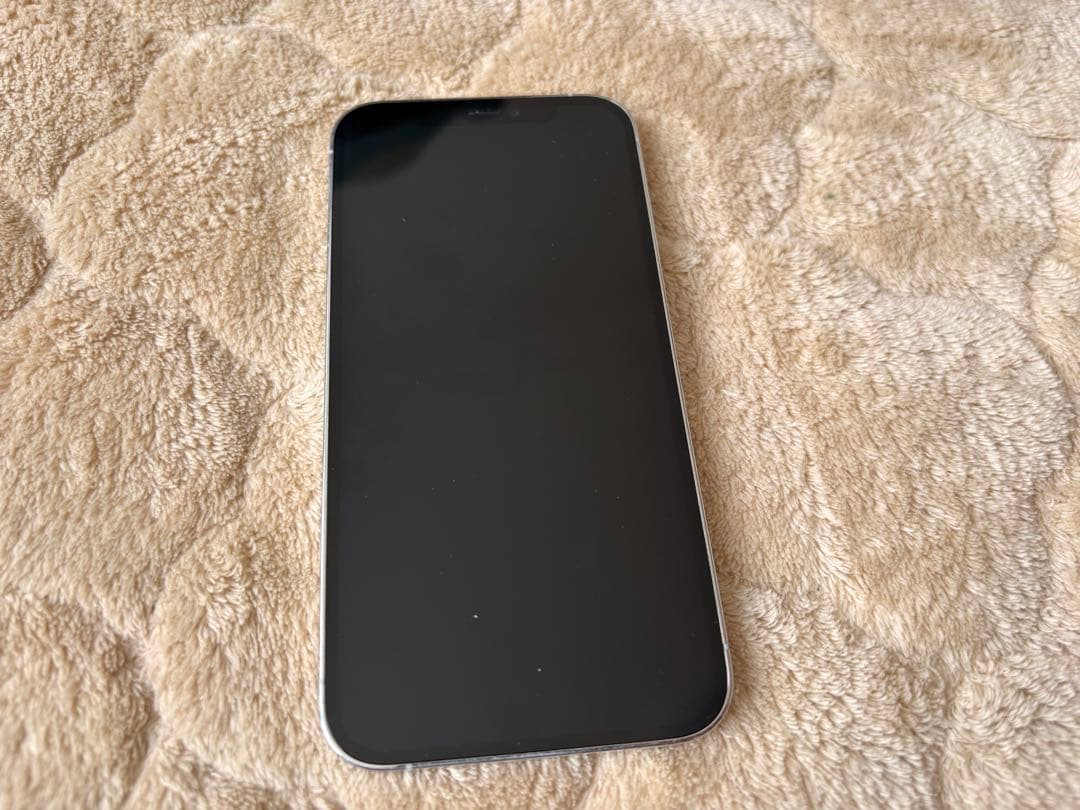 Apple iPhone 12pro シルバー