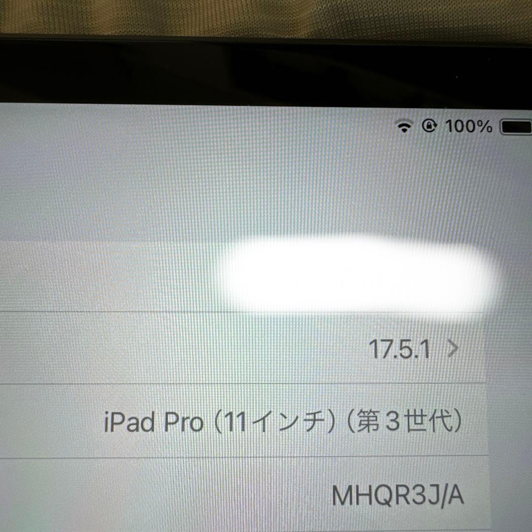 iPad Pro 11インチ