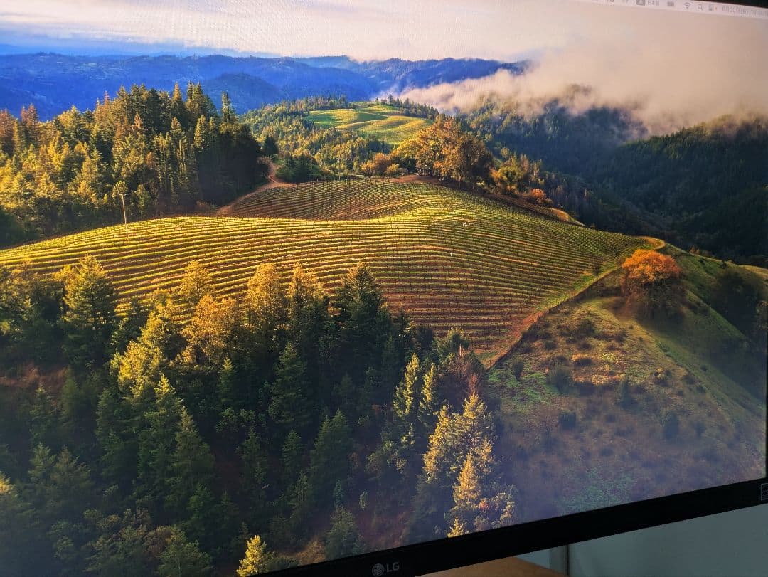 LG 27UK650-W 27インチ 4Kモニター