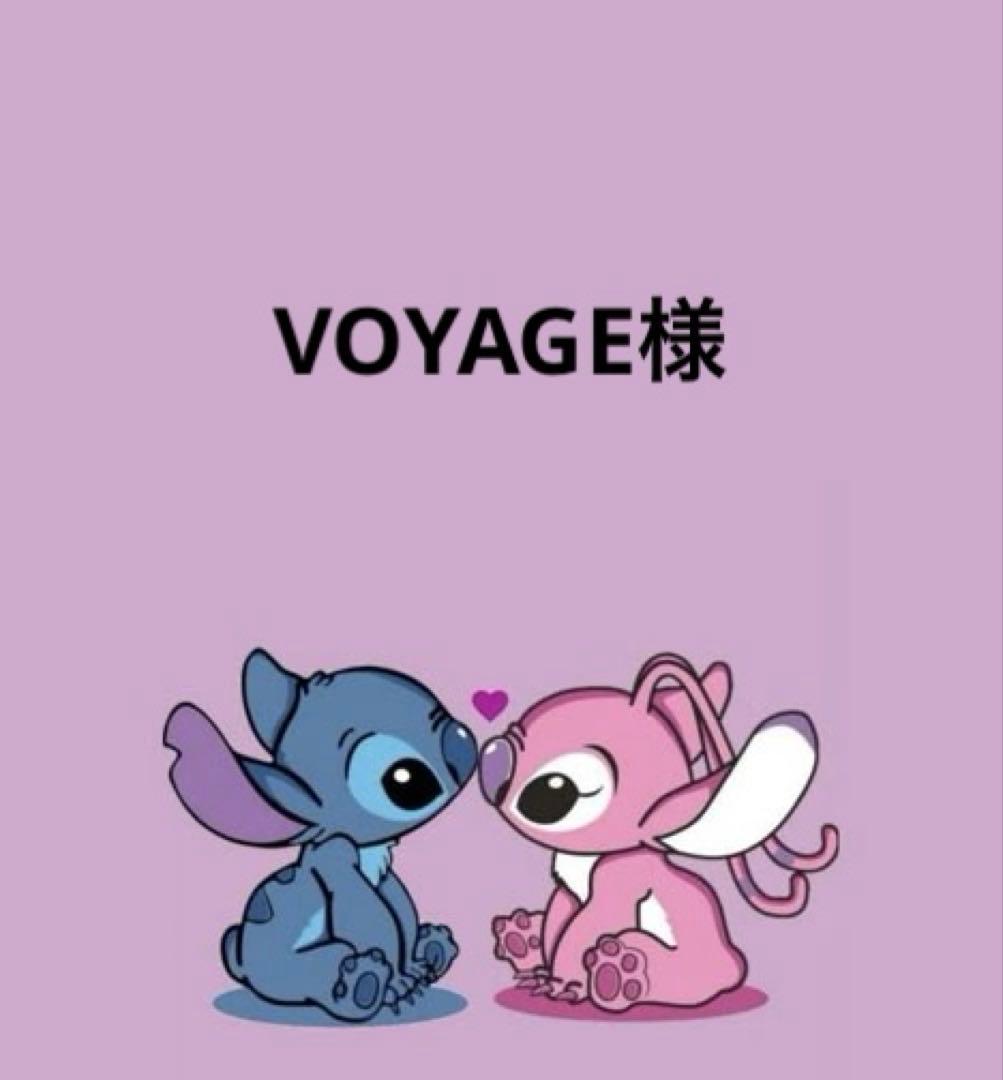 VOYAGE様【未開封】エナジー5本