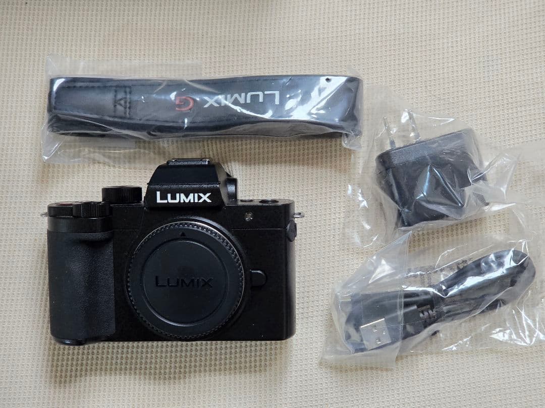 Panasonic LUMIX G100D ボディのみ（シャッター回数1134）