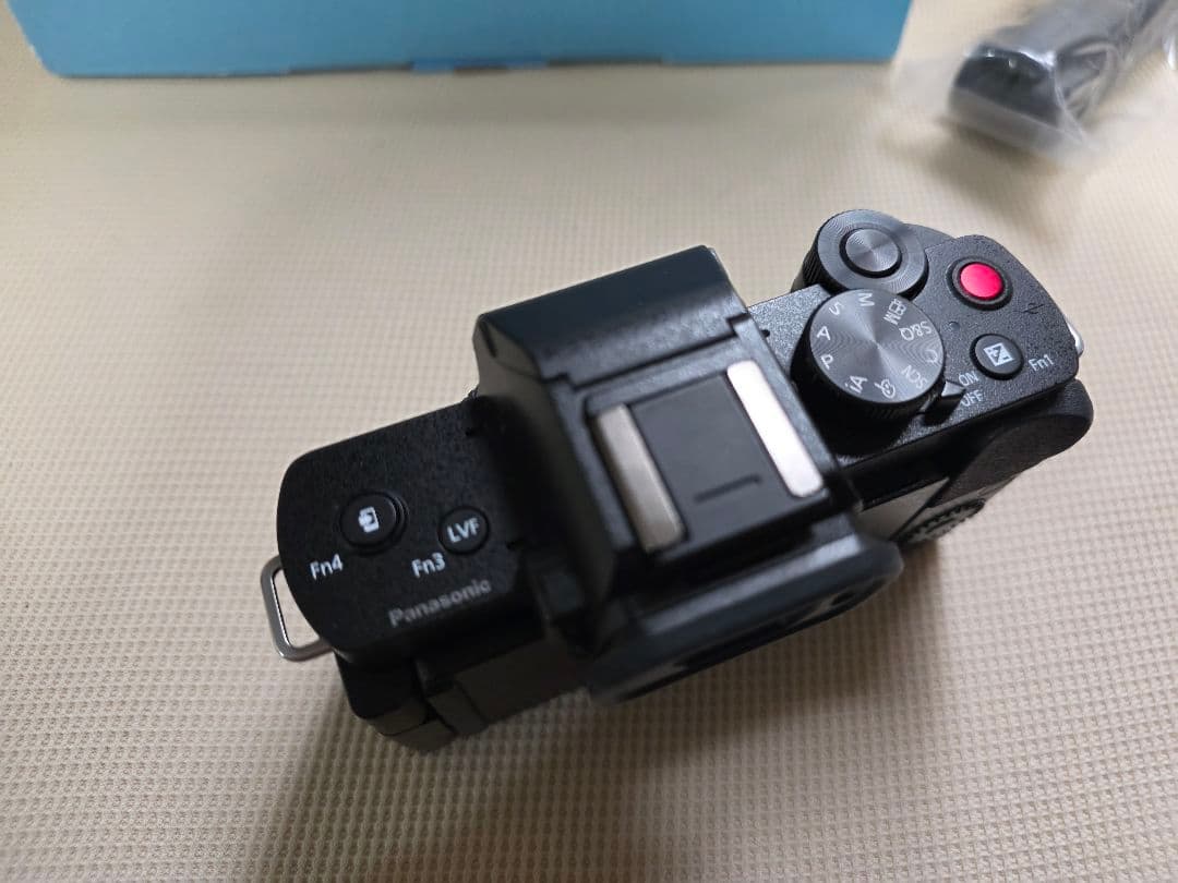 Panasonic LUMIX G100D ボディのみ（シャッター回数1134）