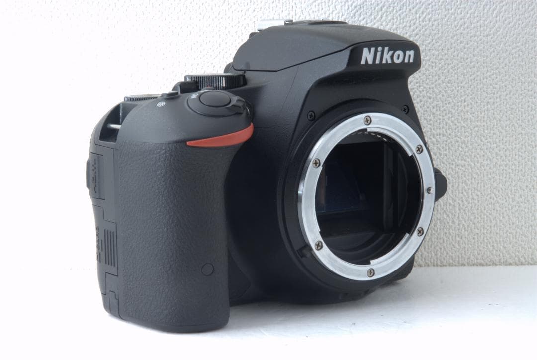 超望遠で遠くの撮影に Nikon D5500 Wレンズ 高性能 Wi-Fi搭載