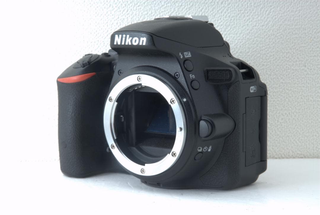 超望遠で遠くの撮影に Nikon D5500 Wレンズ 高性能 Wi-Fi搭載