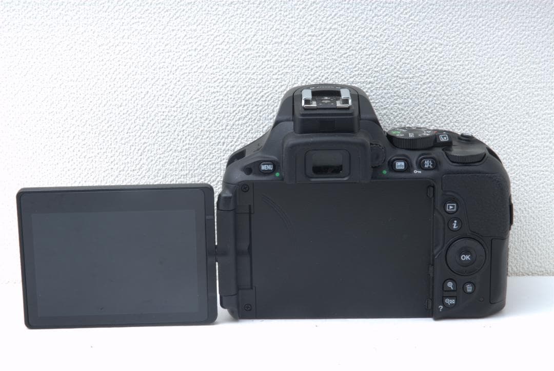 超望遠で遠くの撮影に Nikon D5500 Wレンズ 高性能 Wi-Fi搭載