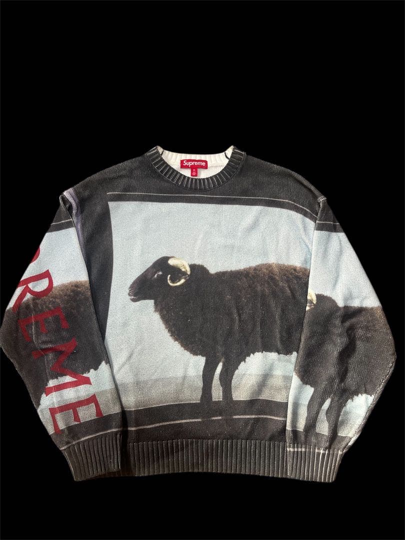 トップス supreme Damien Hirst Sweater 25ss M