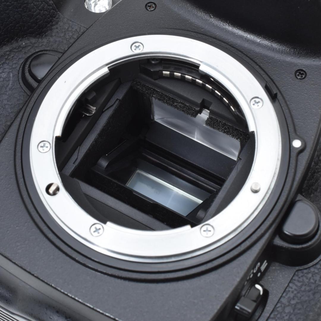 【美品】Nikon D200 ボディ シャッター回数：11621 #R5