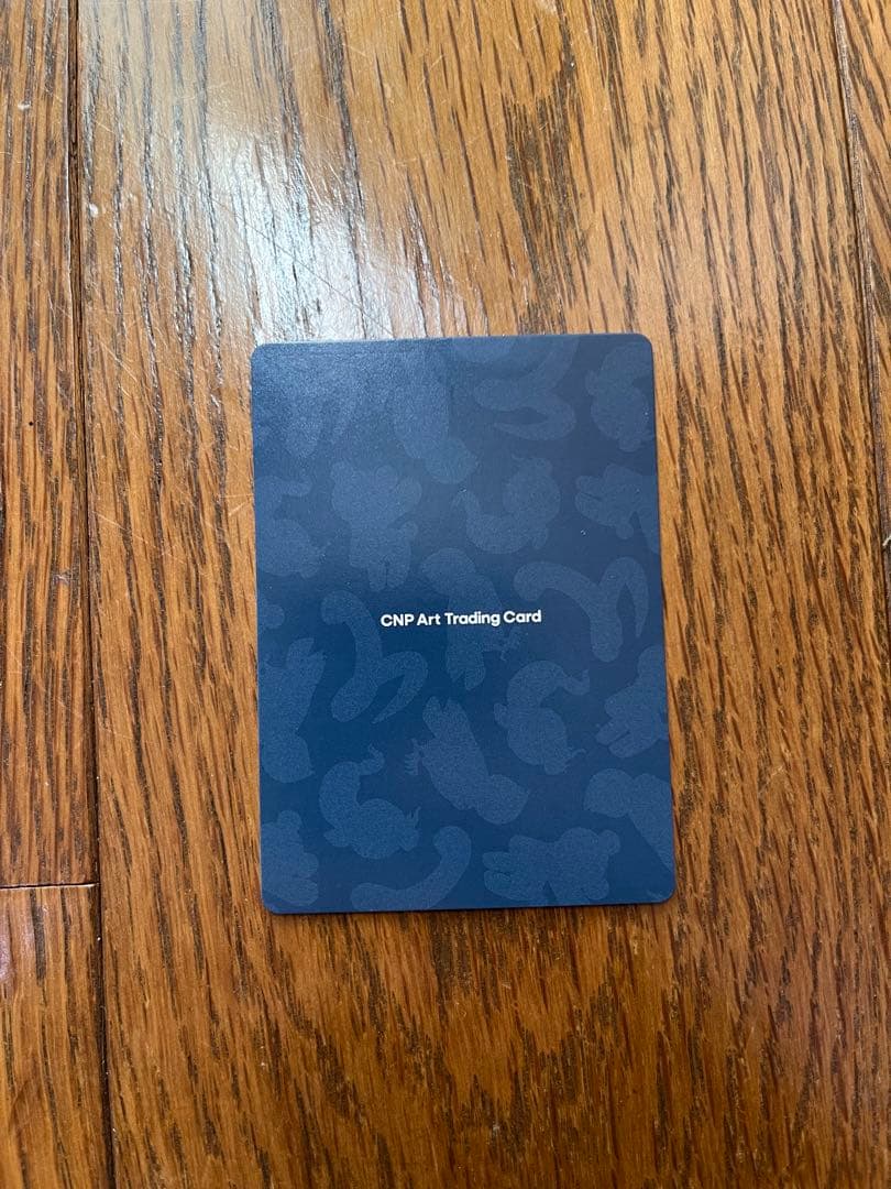 CNPアートトレカβ版　シークレットSSR
