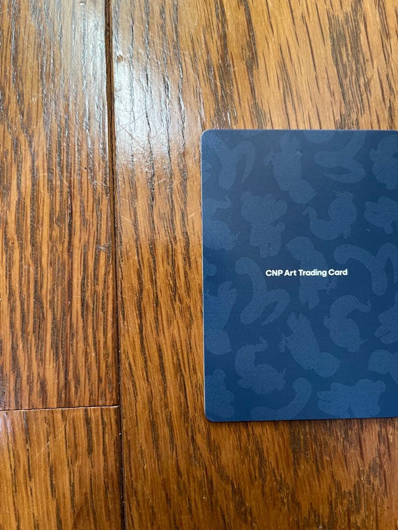 CNPアートトレカβ版　シークレットSSR