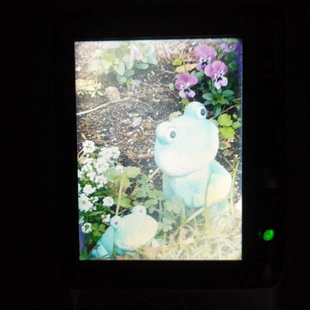 Canon IXY DIGITAL 800IS　シルバー