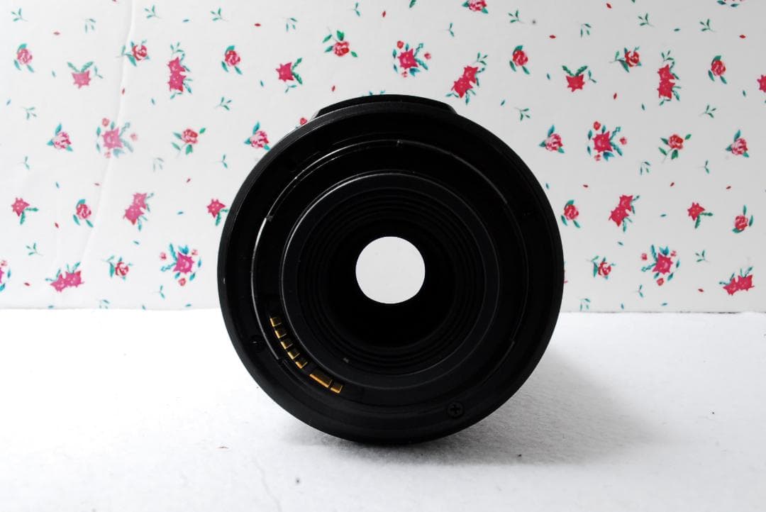 ❤超静音望遠レンズ❤Canon EF-S 55-250mm IS❤