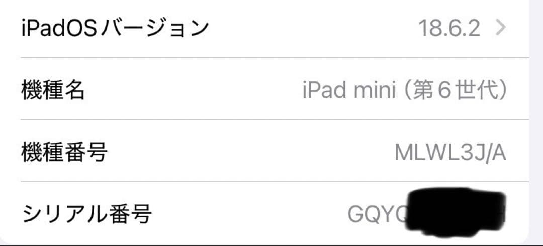 iPad本体 Apple iPad mini 6