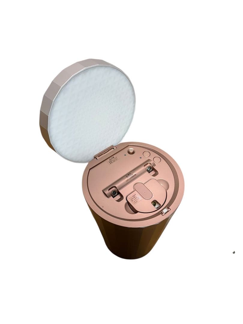 ヤーマン YA-MAN フォトスチーマー IS-100P