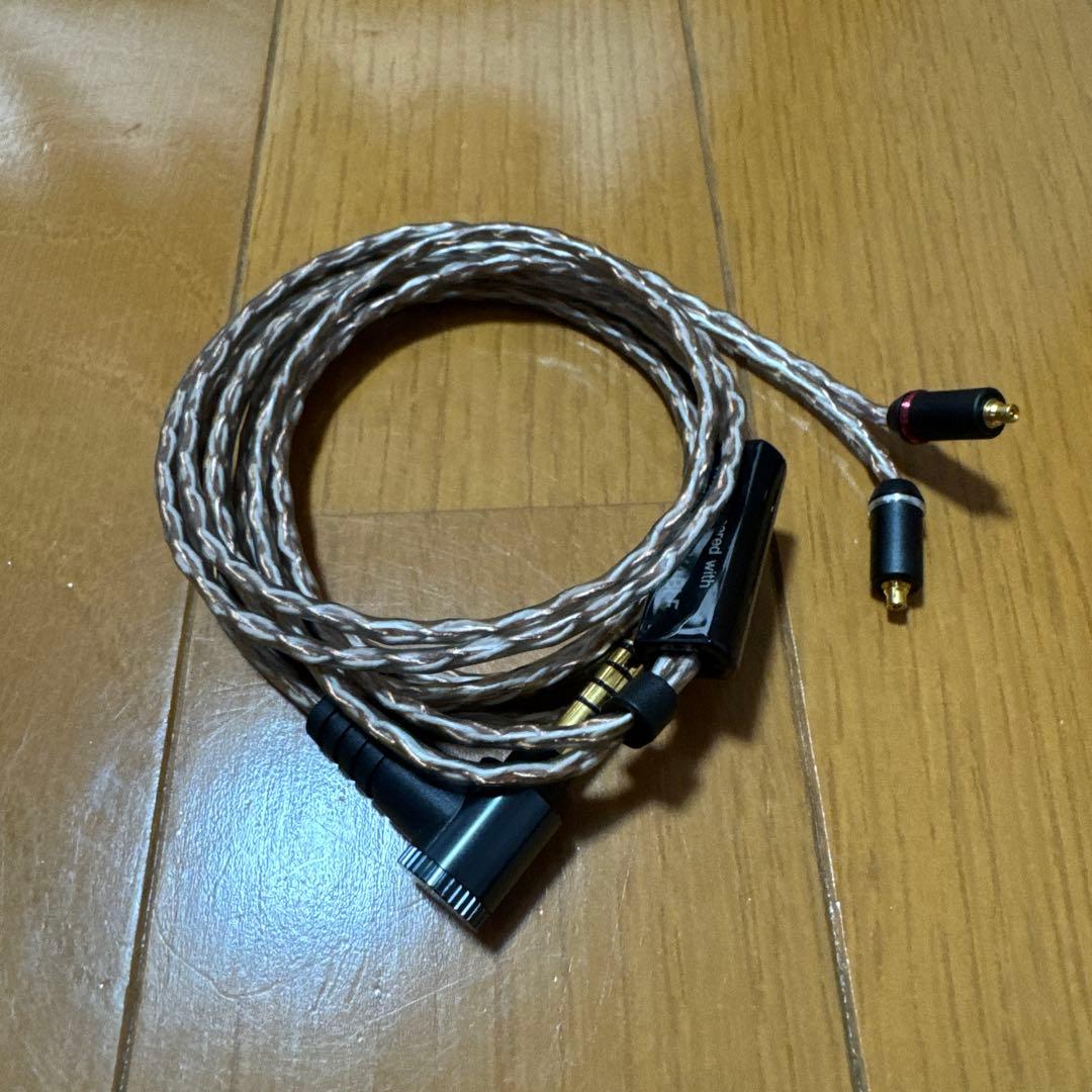 イヤホン NW-ZX707 IER-Z1R MUC-M12SB2 microSD 1TB