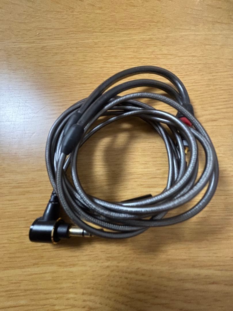 イヤホン SONY IER-M9 Q MUC-M12SB1