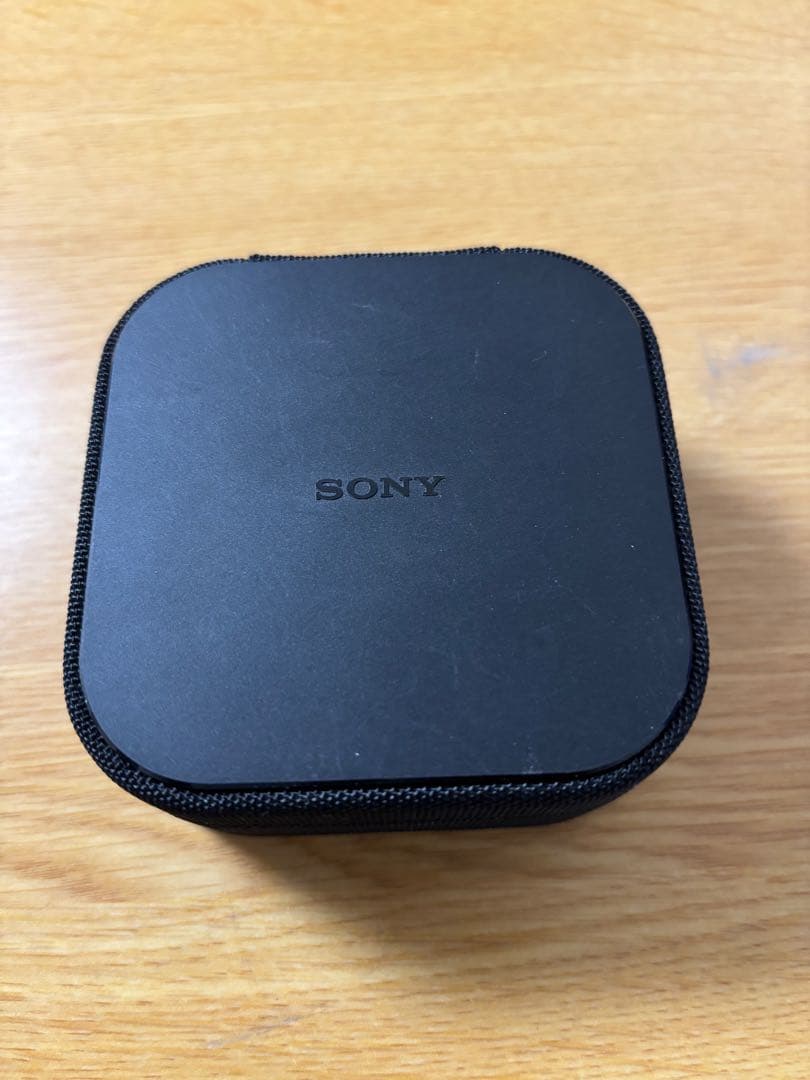 イヤホン SONY IER-M9 Q MUC-M12SB1