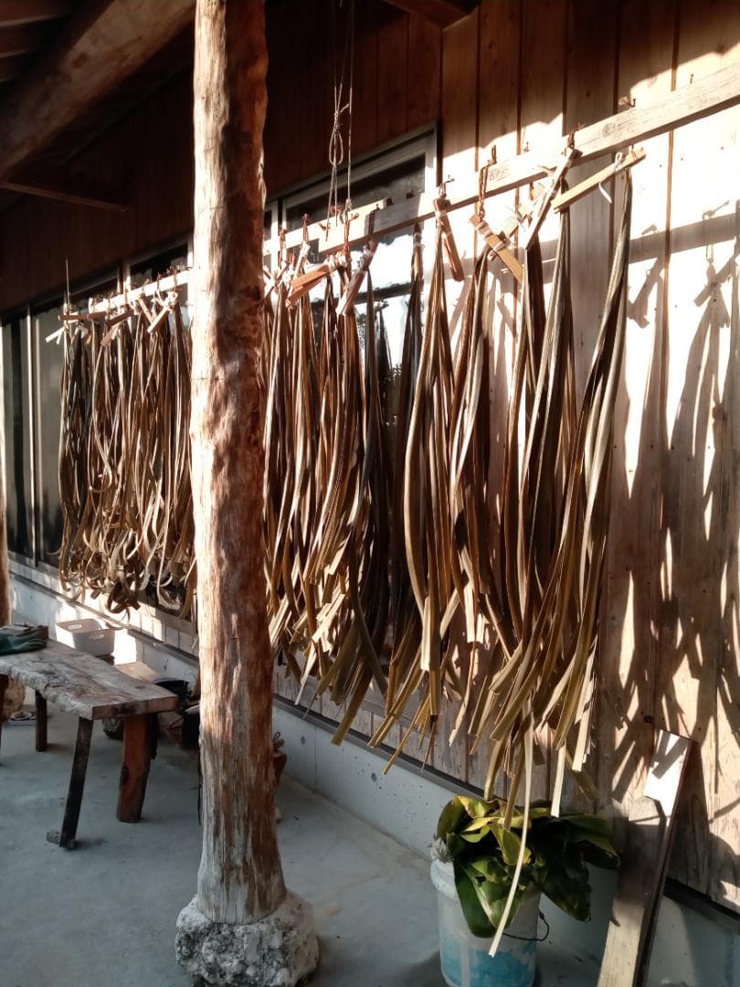 ハワイ産沖縄育ちのラウハラロール“25 Craft-Ⅸ”