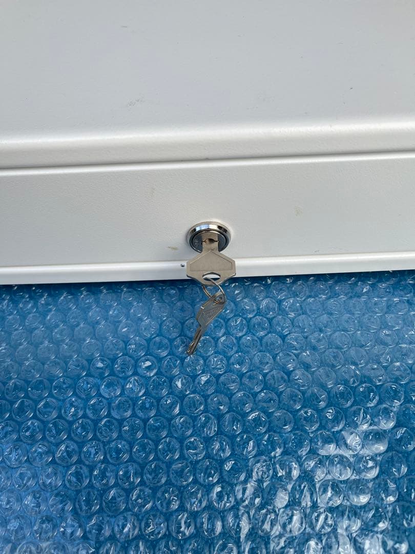 SII RP-F10-W27J1-5プリンター付きレジキャッシャー