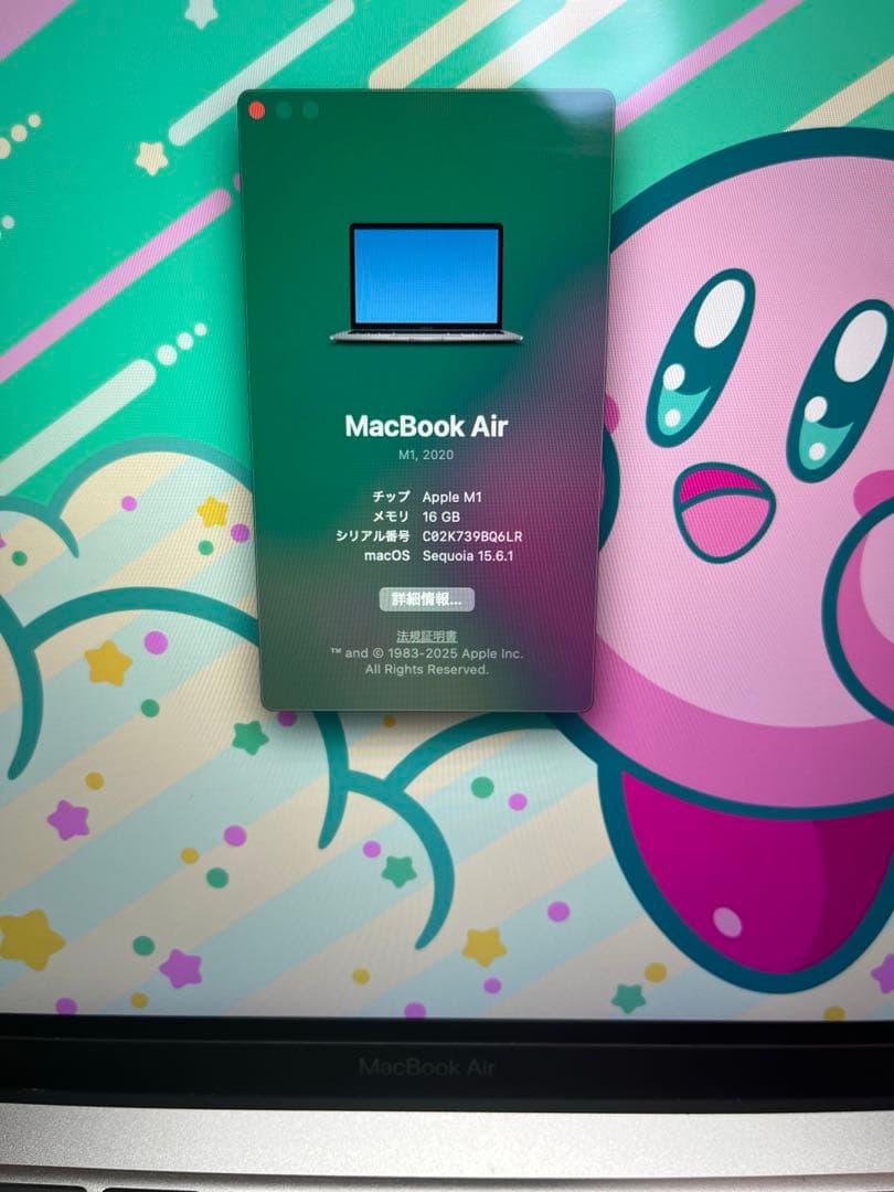 ち*の様 Apple MacBook Air M1 16GB
