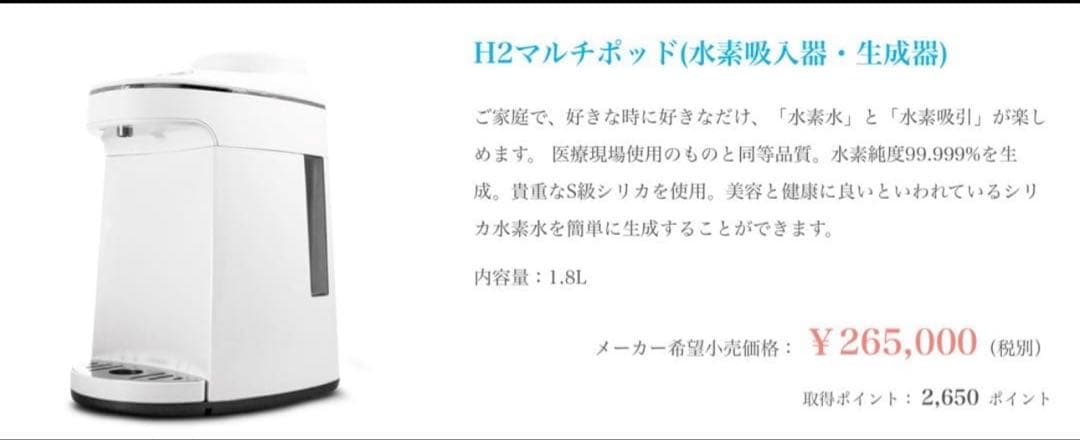 SAISEI 水素生成器 消耗品　精製水フィルター ２個セット　新品未開封