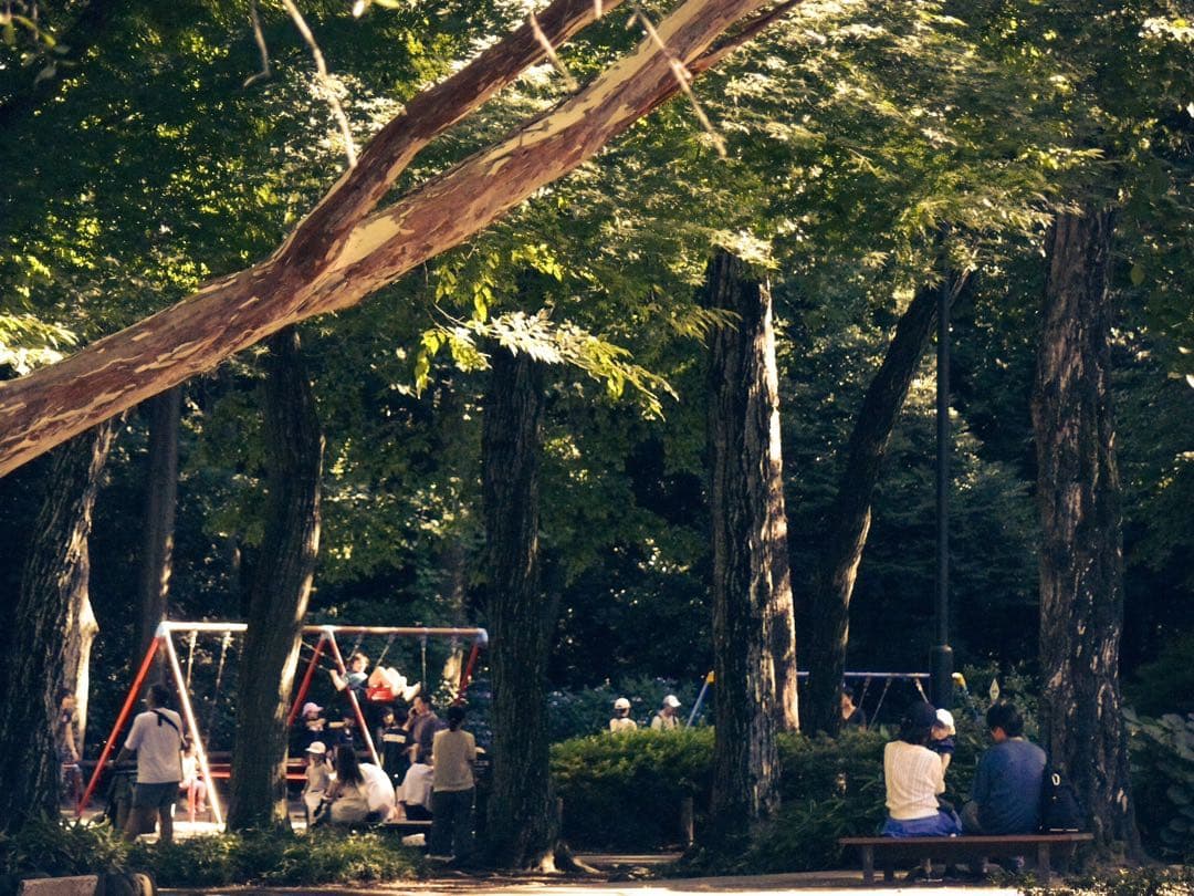 ライカ LEICA V-LUX1