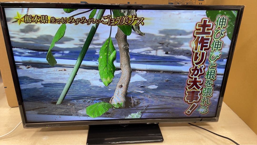 ★中古パナソニック 液晶テレビVIERA TH-32E300 2018年製
