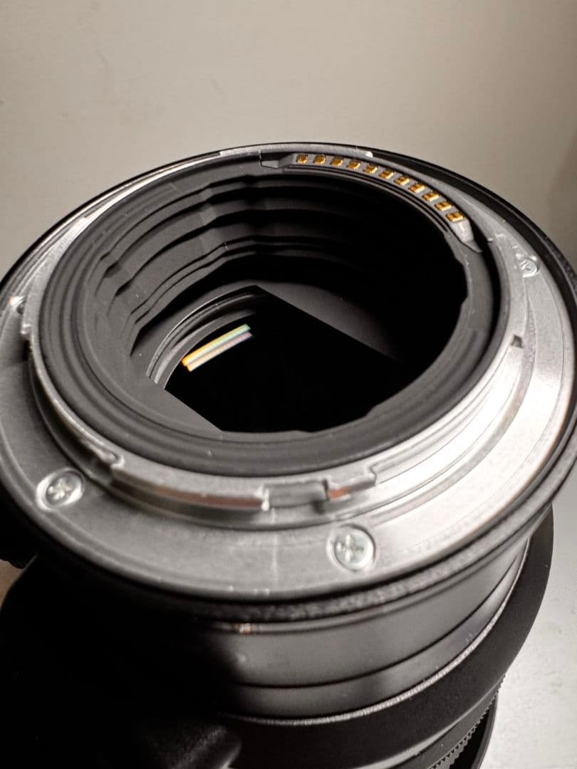 た*ん様 Nikon NIKKOR Z 100-400mm f4.5-5.6 V