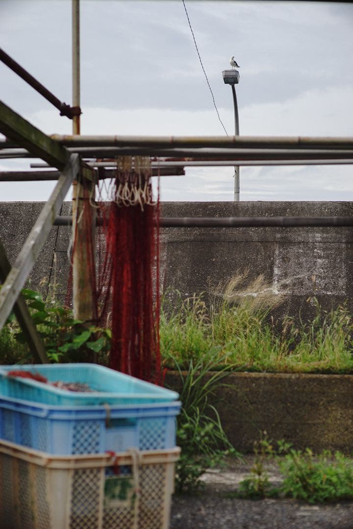 レンズ(単焦点) VoightLander HELIAR 75mm F1.8 VM