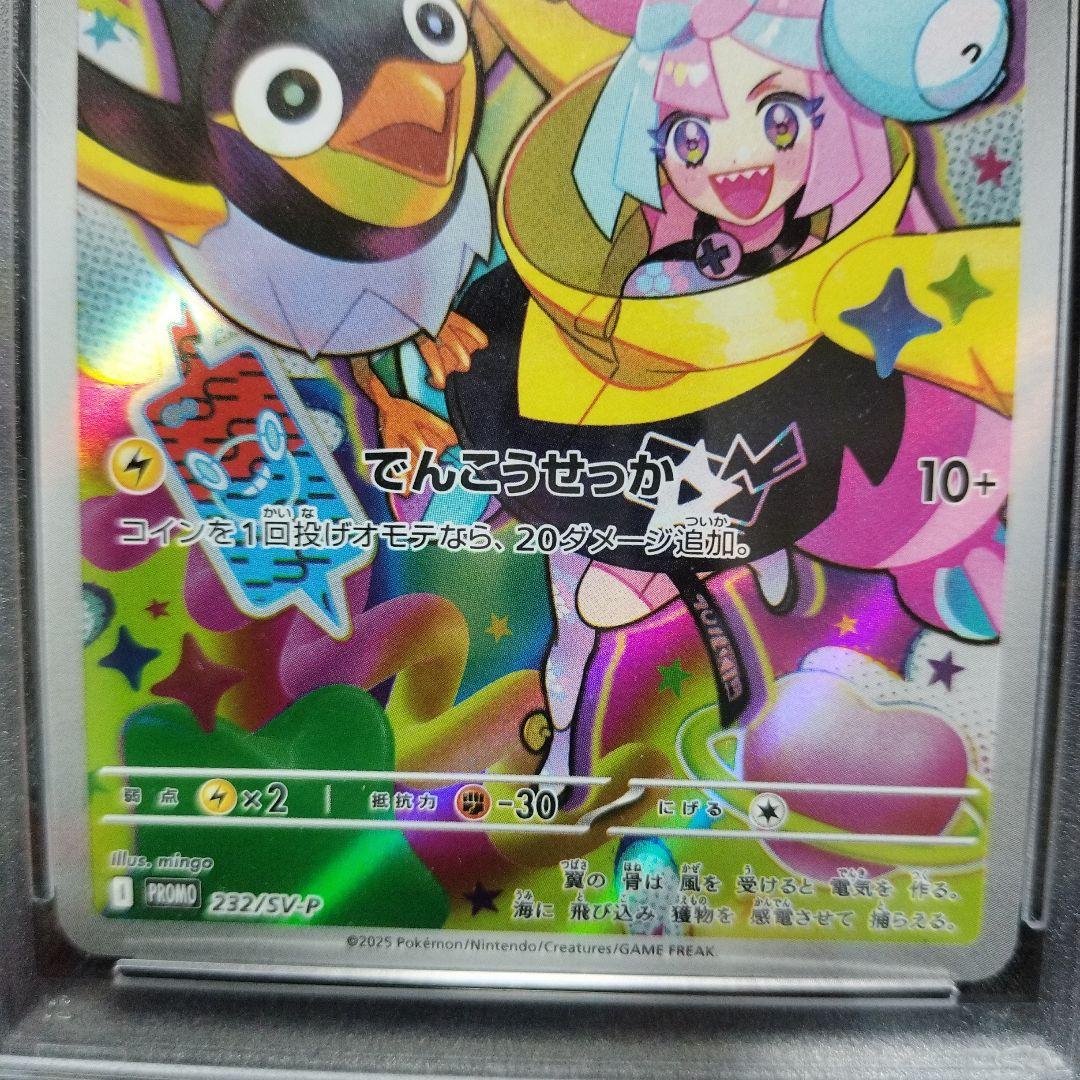 ナンジャモのタイカイデン、カイデンのセット売り