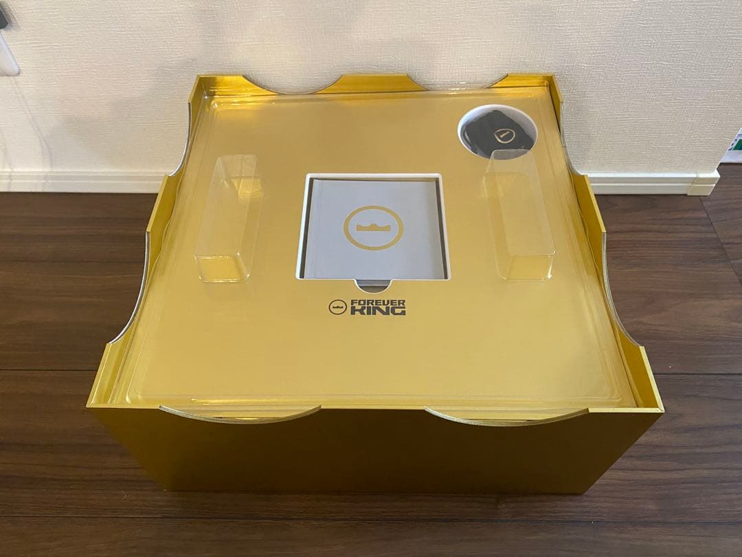 シューズ(男性用) LEBRON XXIII LUX EP 10 (UK 9)