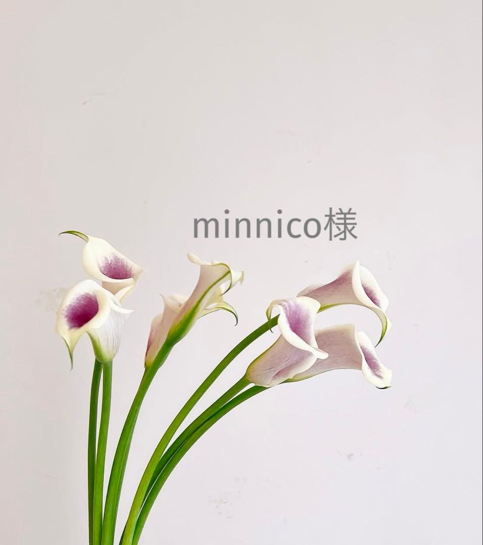 minnico品