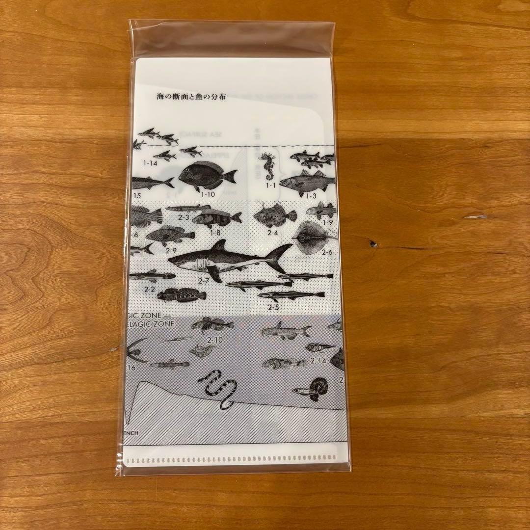 魚図鑑 3CD 魚大図鑑 完全生産限定 プレミアムBOX盤 サカナクション