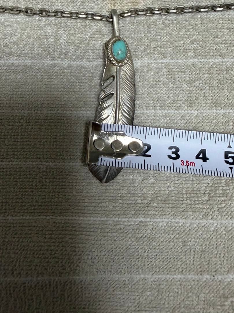 アリゾナフリーダム　フェザー