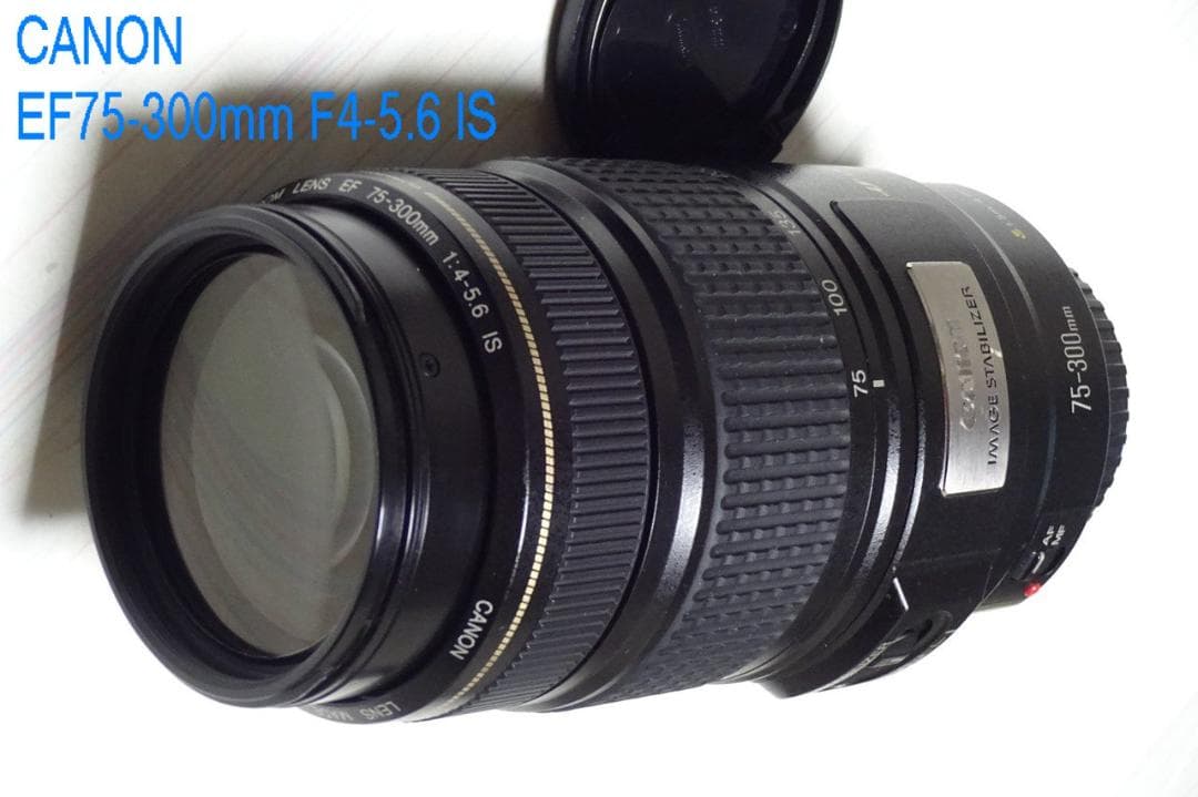 レンズ(ズーム) CANON EF 75-300mm F4-5.6 IS