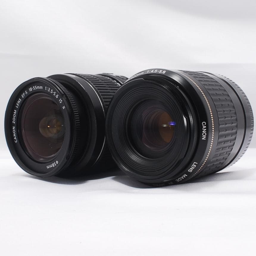 ⭐Canon kiss X4 18-55/80-200 初心者向け望遠Wズーム