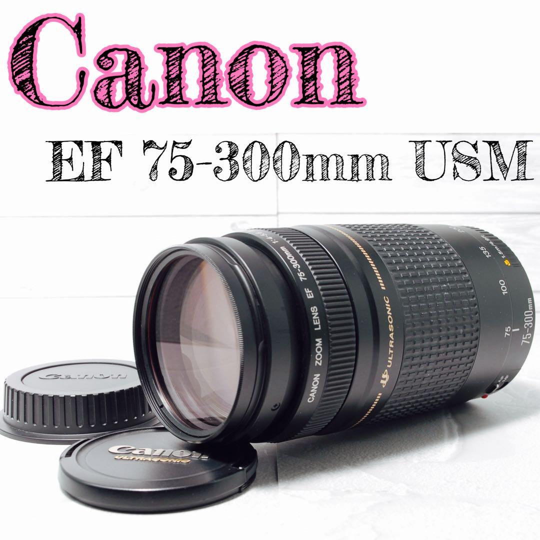 Canon EF 75-300mm Ⅱ USM ⭐️望遠ズームレンズ⭐️ キャノン