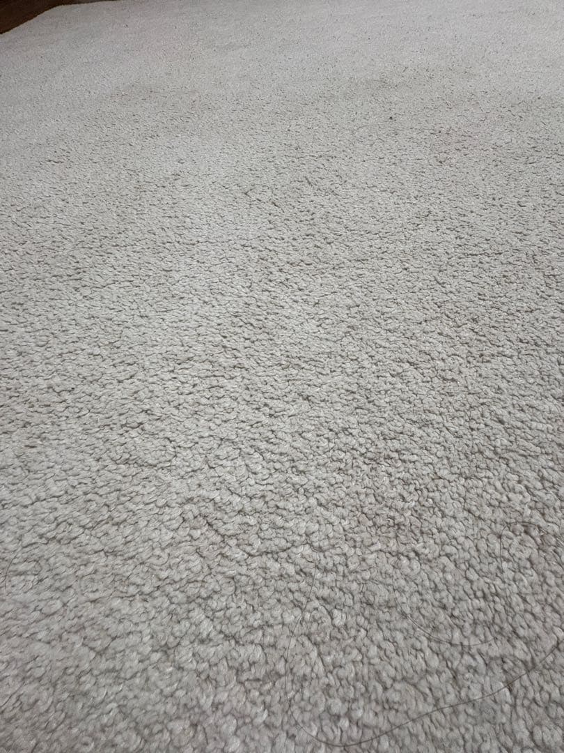 IKEA STOENSE ストエンセ ラグ　オフホワイト　　200x300 cm