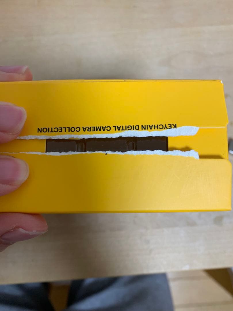 Charmera Kodak 1987 デジタルカメラ