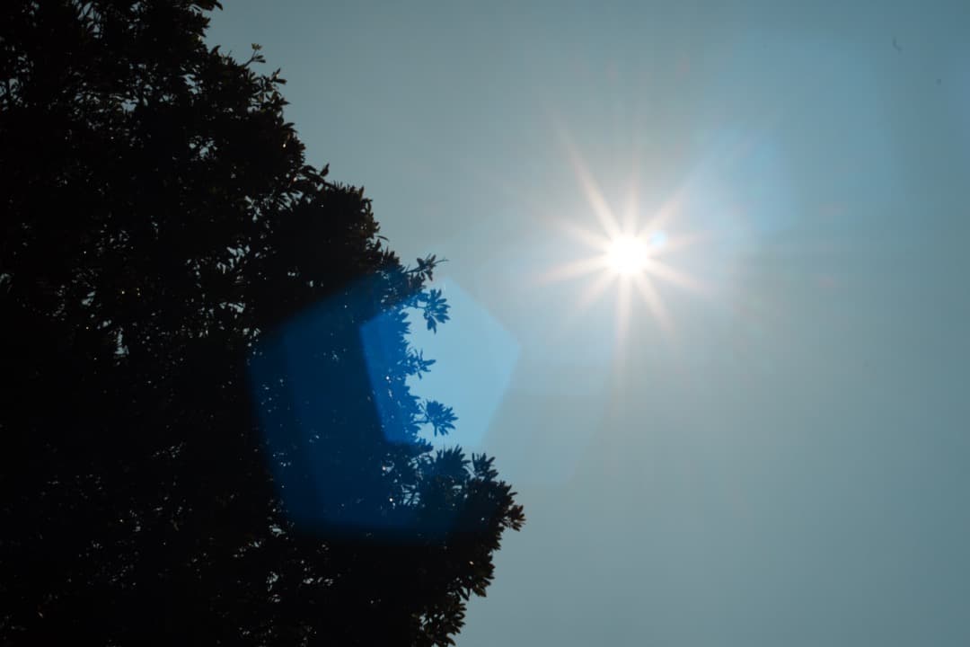 【バブルボケ】動作◎ FUJINON 55mm F2.2 後期 M42 325