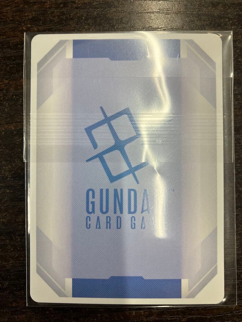 MAHIRU0504専用 ハマーン　ニュータイプチャレンジ ガンダムカード