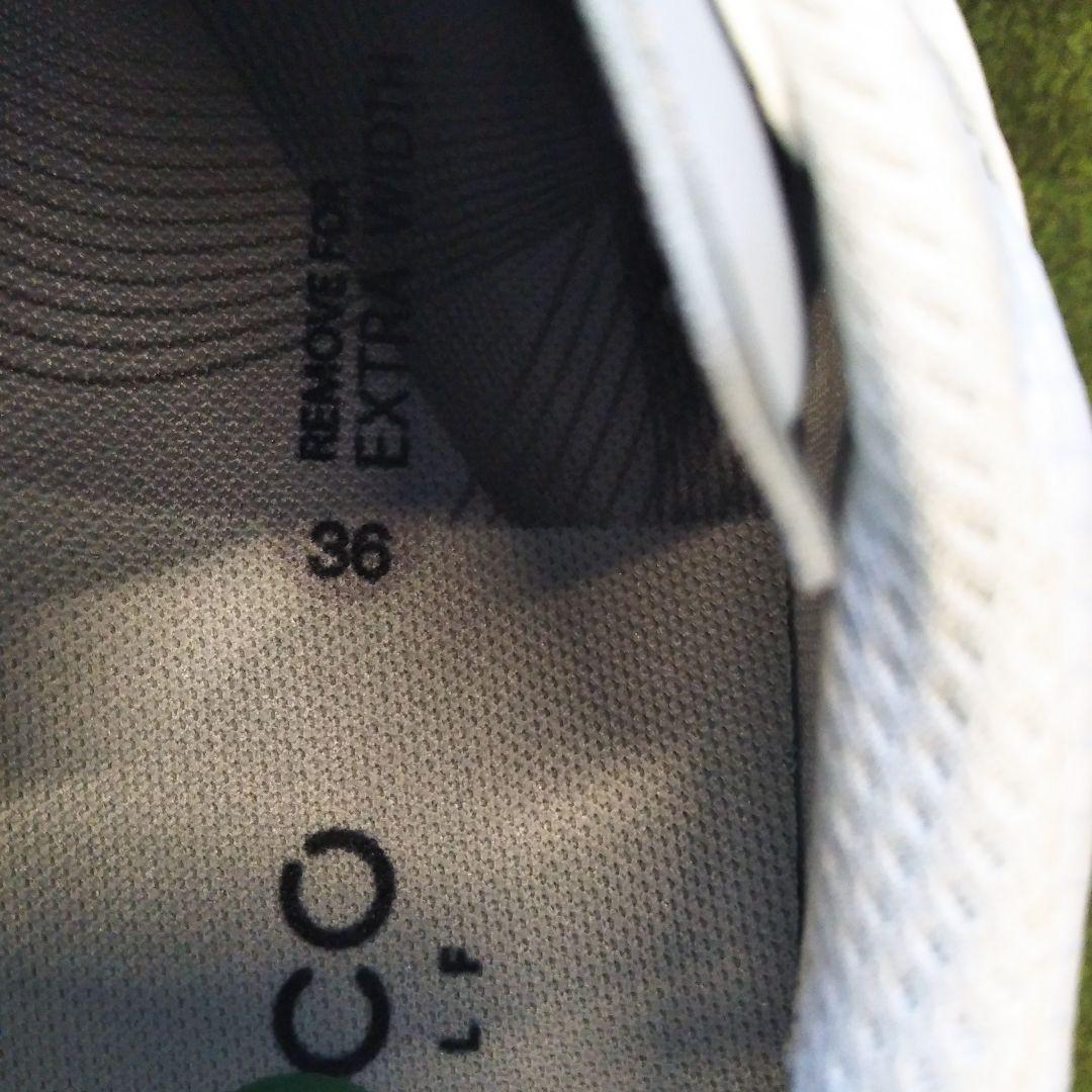 【新品】エコー BIOM NATURAL MOTION ゴルフシューズ 23.0